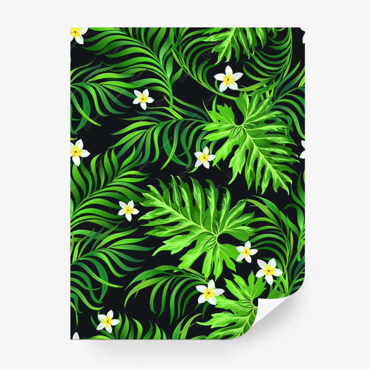 Papier peint jungle tropicale luxuriante sur fond noir – Wallnifity®