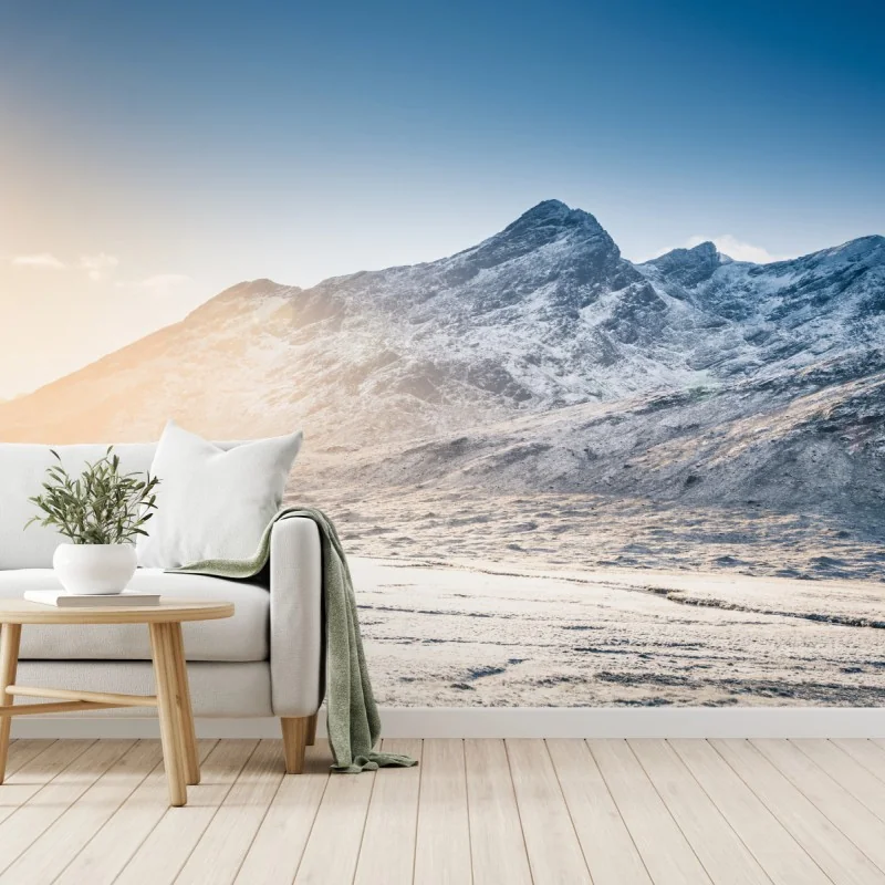 Scandinave – Wallnifity®