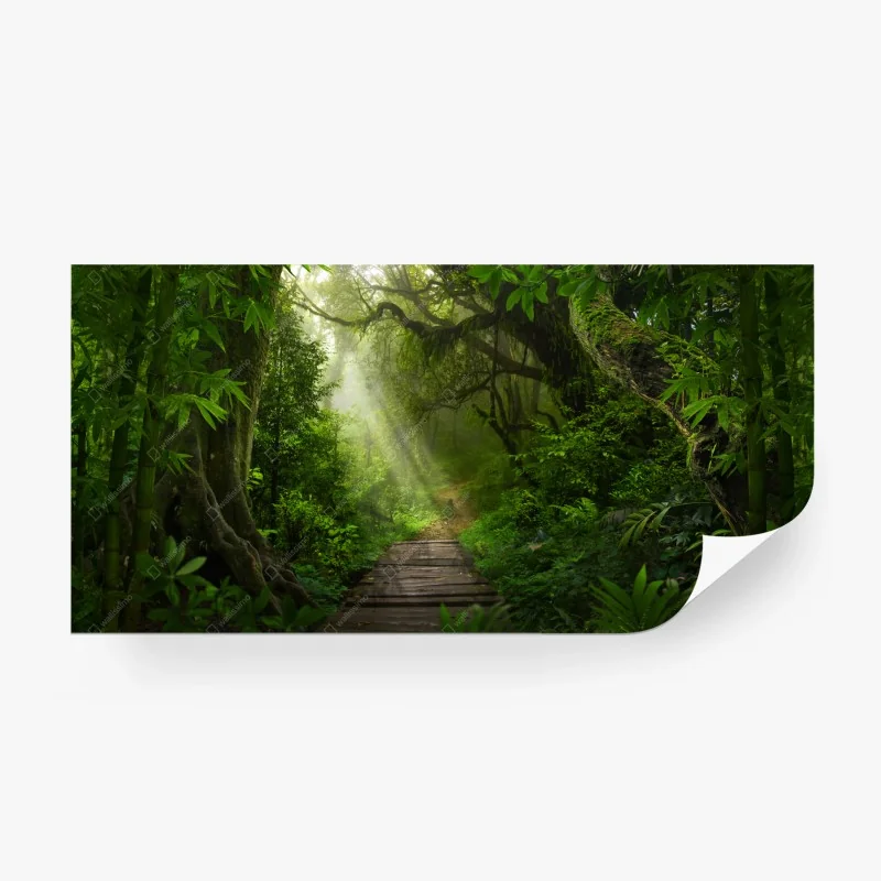 Papier peint sentier forestier baigné de lumière – Wallnifity® Papier peint sentier forestier baigné de lumière – Wallnifity®