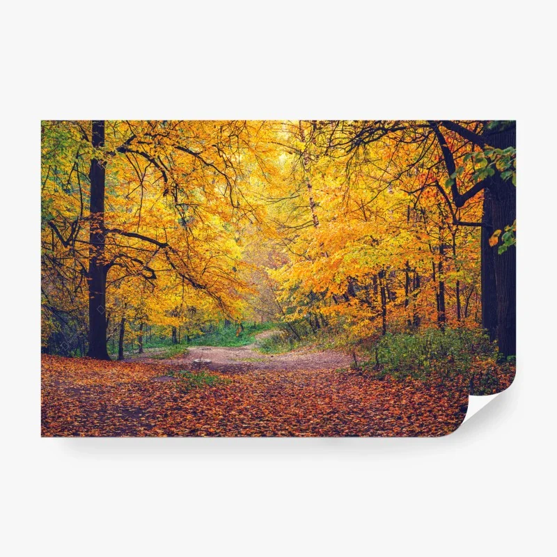 Papier peint sentier doré dans la forêt d'automne – Wallnifity® Papier peint sentier doré dans la forêt d'automne – Wallnifity®