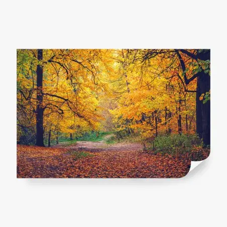 Papier peint sentier doré dans la forêt d'automne – Wallnifity®