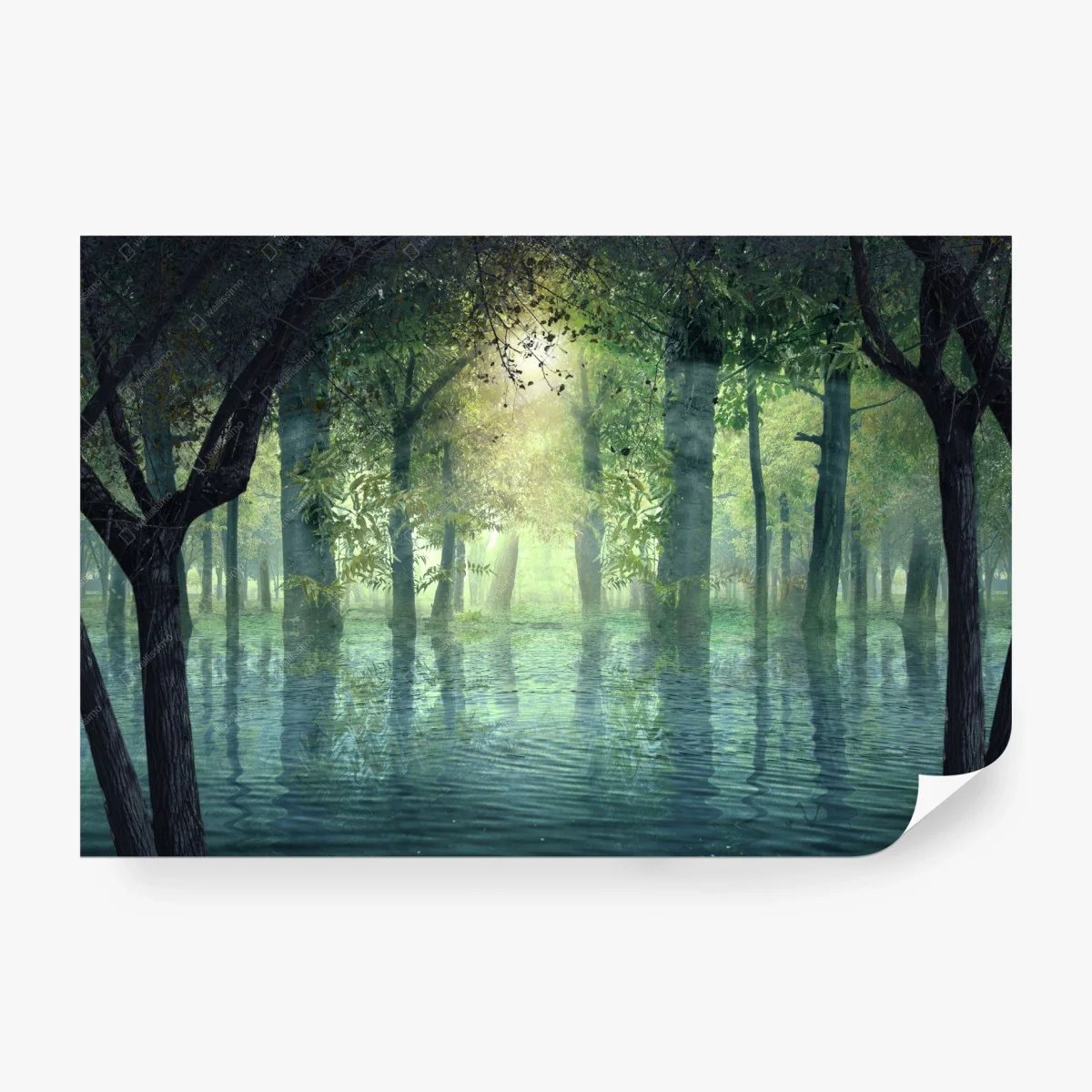 Papier peint forêt hantée baignée de lumière – Wallnifity® Papier peint forêt hantée baignée de lumière – Wallnifity®
