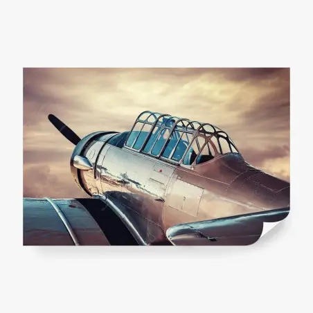 Papier peint avion de collection en métal poli – Wallnifity®