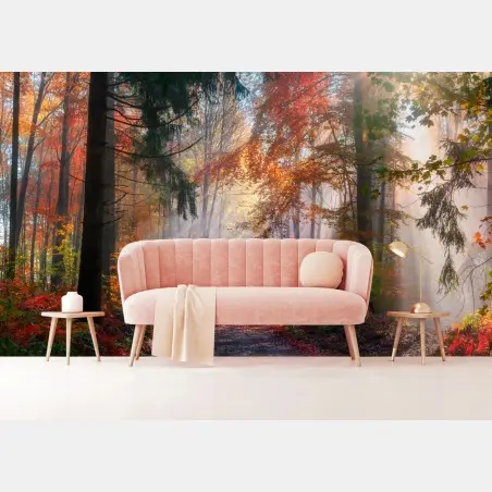 Papier peint forêt d'automne enchantée baignée de lumière – Wallnifity®