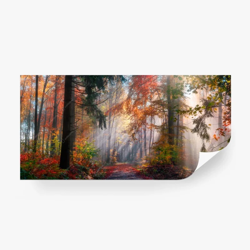 Papier peint forêt d'automne enchantée baignée de lumière – Wallnifity® Papier peint forêt d'automne enchantée baignée de lumière – Wallnifity®