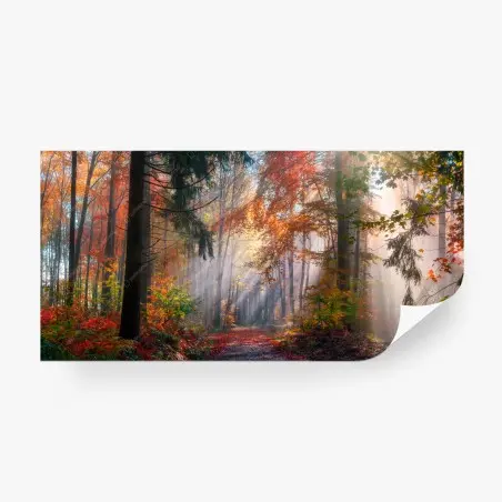 Papier peint forêt d'automne enchantée baignée de lumière – Wallnifity®