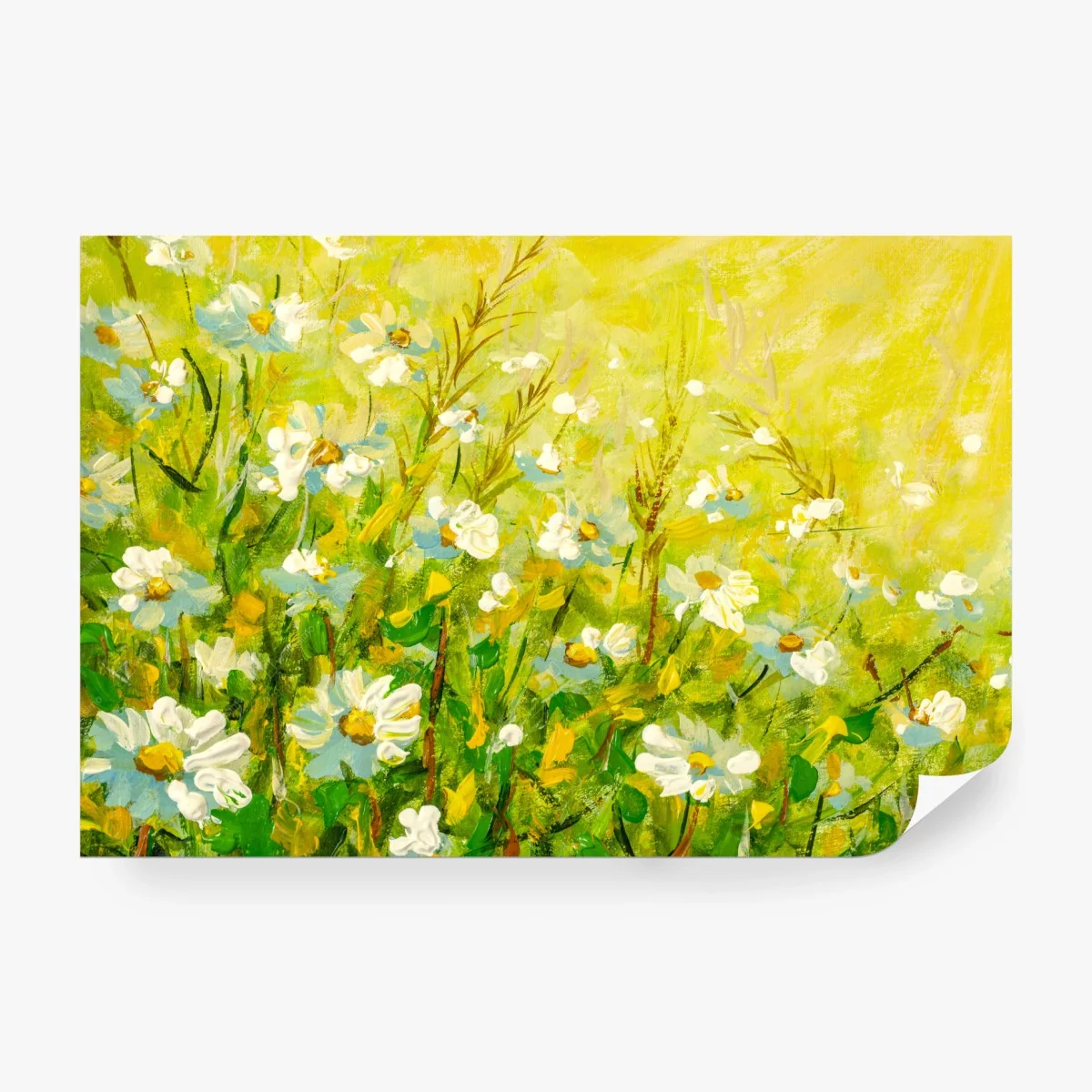 Papier peint champ de camomille ensoleillé – Wallnifity® Papier peint champ de camomille ensoleillé – Wallnifity®