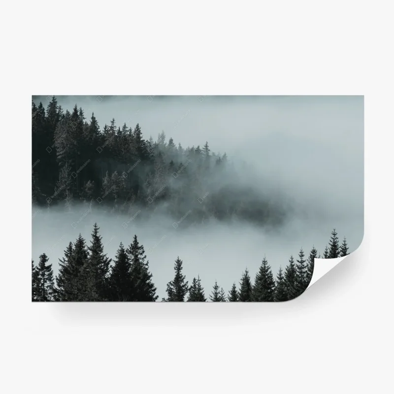 Papier peint brume sur la forêt de conifères – Wallnifity®