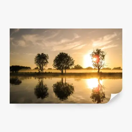 Papier peint reflets dorés sur le lac au lever du soleil – Wallnifity®