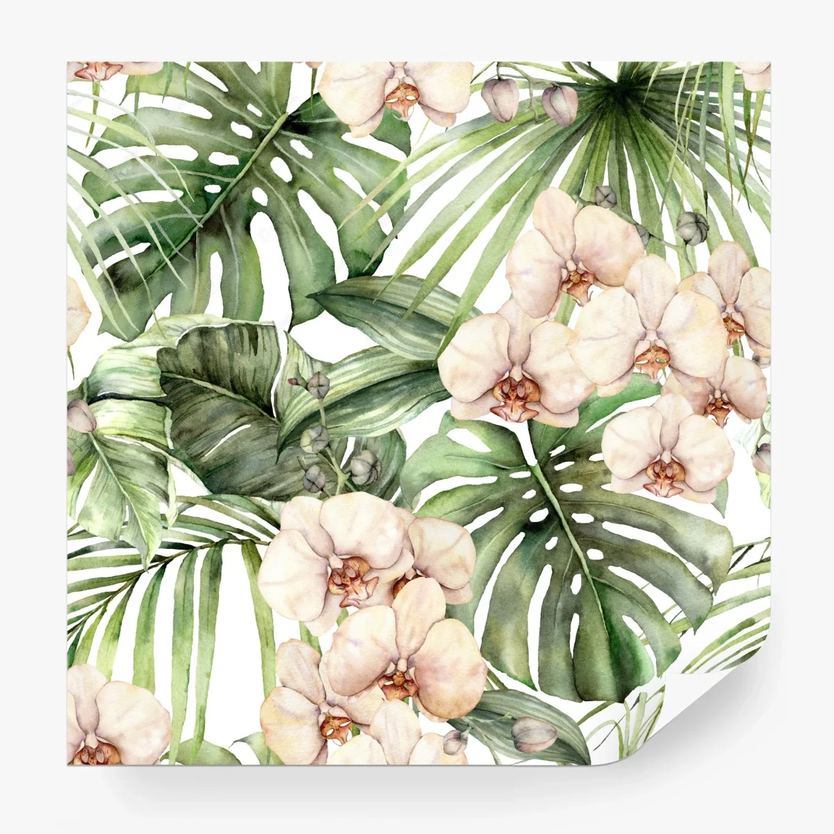 Papier peint orchidées et feuilles tropicales en aquarelle – Wallnifity® Papier peint orchidées et feuilles tropicales en aquarelle – Wallnifity®