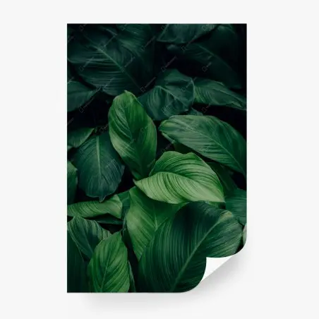 Papier peint feuillage tropical luxuriant – Wallnifity®