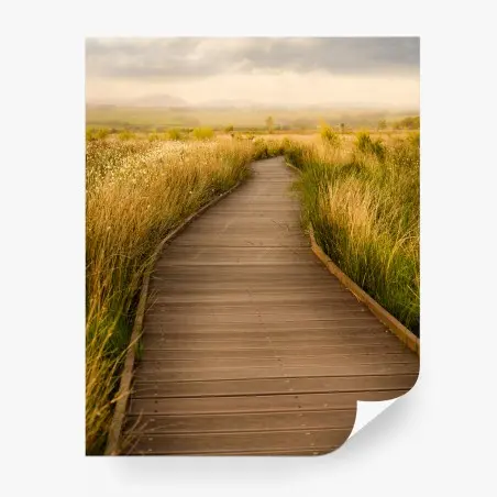 Papier peint promenade dorée dans les marais – Wallnifity®