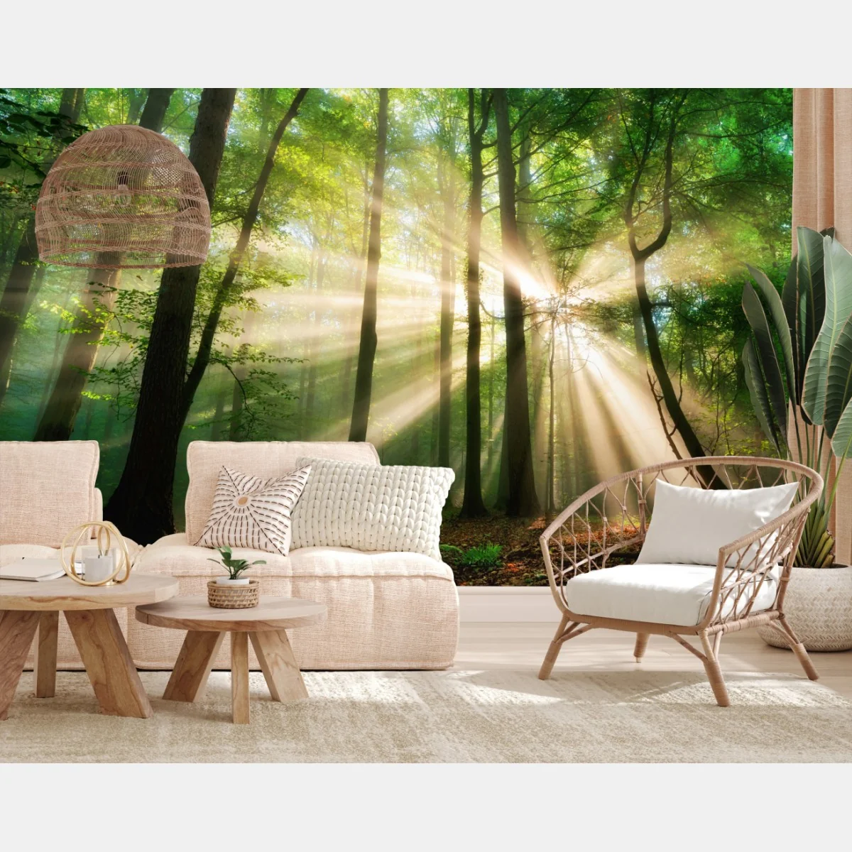Papier peint rayons dorés dans la forêt brumeuse – Wallnifity® Papier peint rayons dorés dans la forêt brumeuse – Wallnifity®