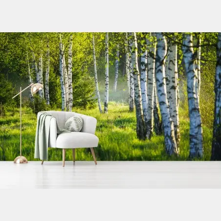 Papier peint allée de bouleaux au printemps – Wallnifity®