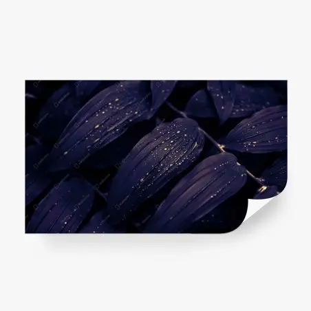 Papier peint feuillage nocturne aux gouttes d'eau – Wallnifity®