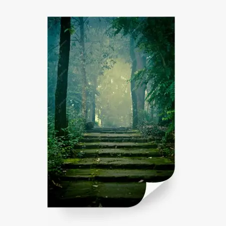 Papier peint escalier de pierre dans la forêt brumeuse – Wallnifity®