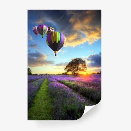 Papier peint coucher de soleil sur champs de lavande et montgolfières – Wallnifity®