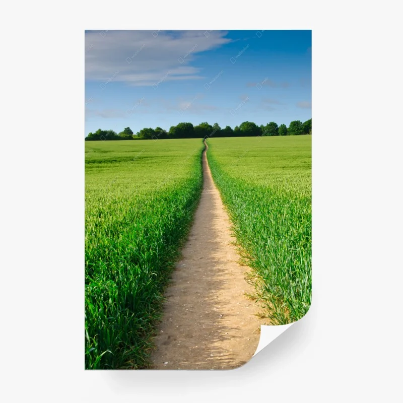 Papier peint chemin vers l'horizon dans un champ verdoyant – Wallnifity® Papier peint chemin vers l'horizon dans un champ verdoyant – Wallnifity®