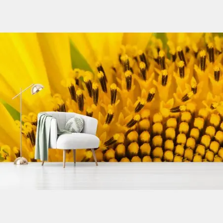 Papier peint gros plan lumineux de tournesol – Wallnifity®