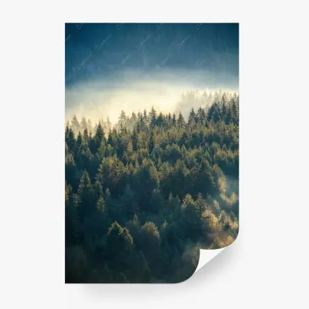 Papier peint brume matinale sur la pinède montagneuse – Wallnifity®