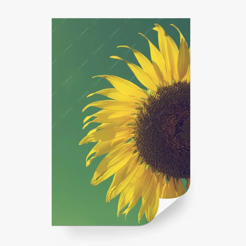 Papier peint tournesol rétro sur fond vert – Wallnifity® Papier peint tournesol rétro sur fond vert – Wallnifity®