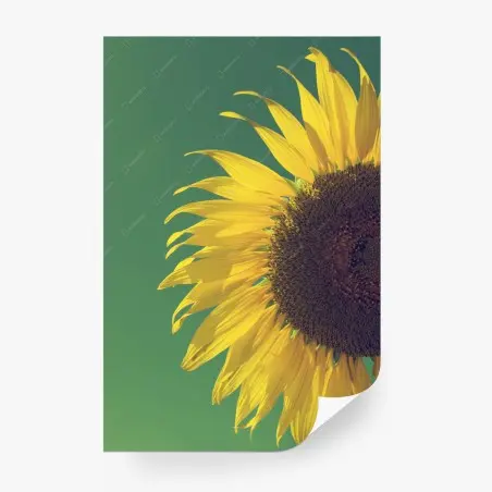 Papier peint tournesol rétro sur fond vert – Wallnifity®