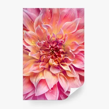 Papier peint éclat floral rose et pêche – Wallnifity®