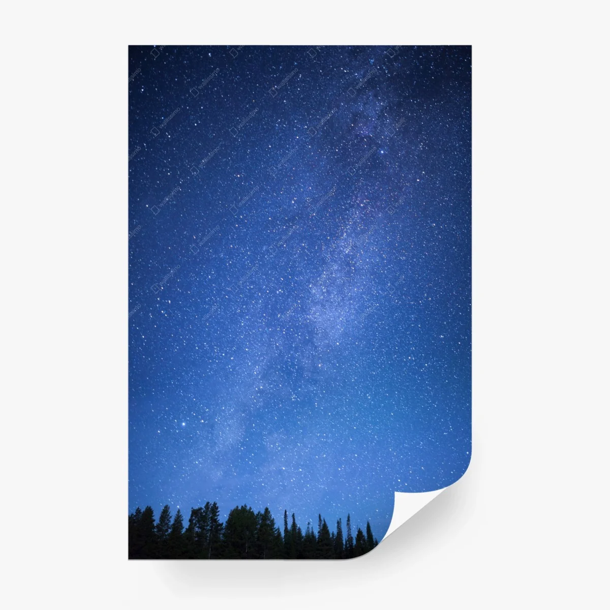 Papier peint la voie lactée au-dessus de la forêt – Wallnifity®