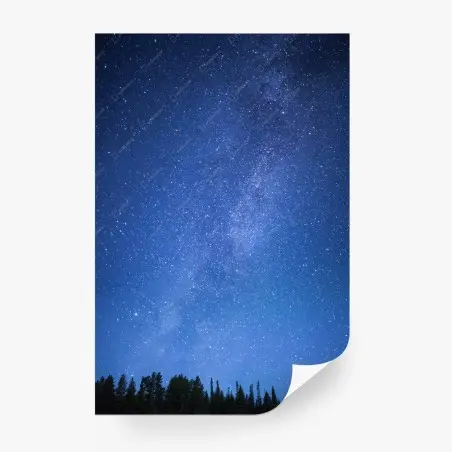 Papier peint la voie lactée au-dessus de la forêt – Wallnifity®