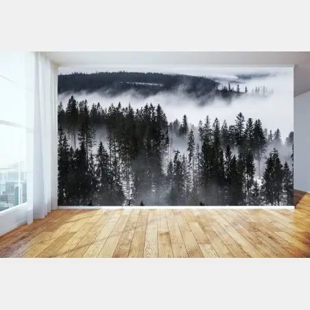 Papier peint brume hivernale sur les Tatras – Wallnifity®