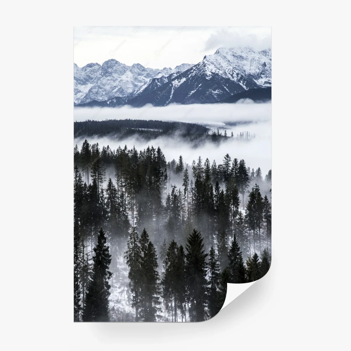 Papier peint brume hivernale sur les Tatras – Wallnifity® Papier peint brume hivernale sur les Tatras – Wallnifity®