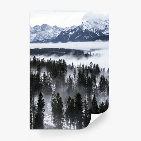 Papier peint brume hivernale sur les Tatras – Wallnifity®