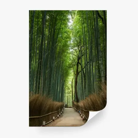 Papier peint allée de bambous zen en perspective – Wallnifity®