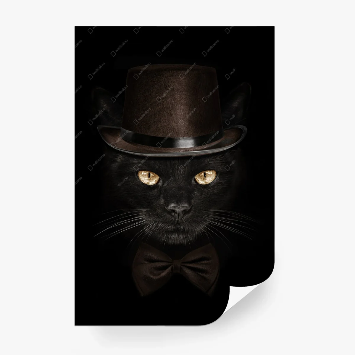 Papier peint chat élégant au chapeau haut-de-forme et nœud papillon – Wallnifity® Papier peint chat élégant au chapeau haut-de-forme et nœud papillon – Wallnifity®