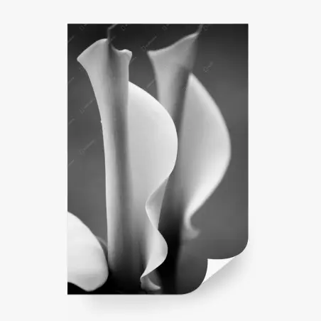 Papier peint élégance en courbes arums en noir et blanc – Wallnifity®