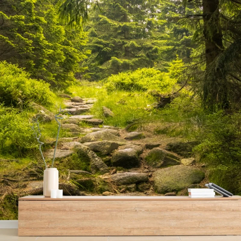 Forêts – Wallnifity®