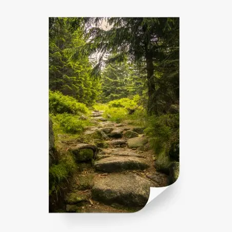 Papier peint chemin forestier verdoyant – Wallnifity®