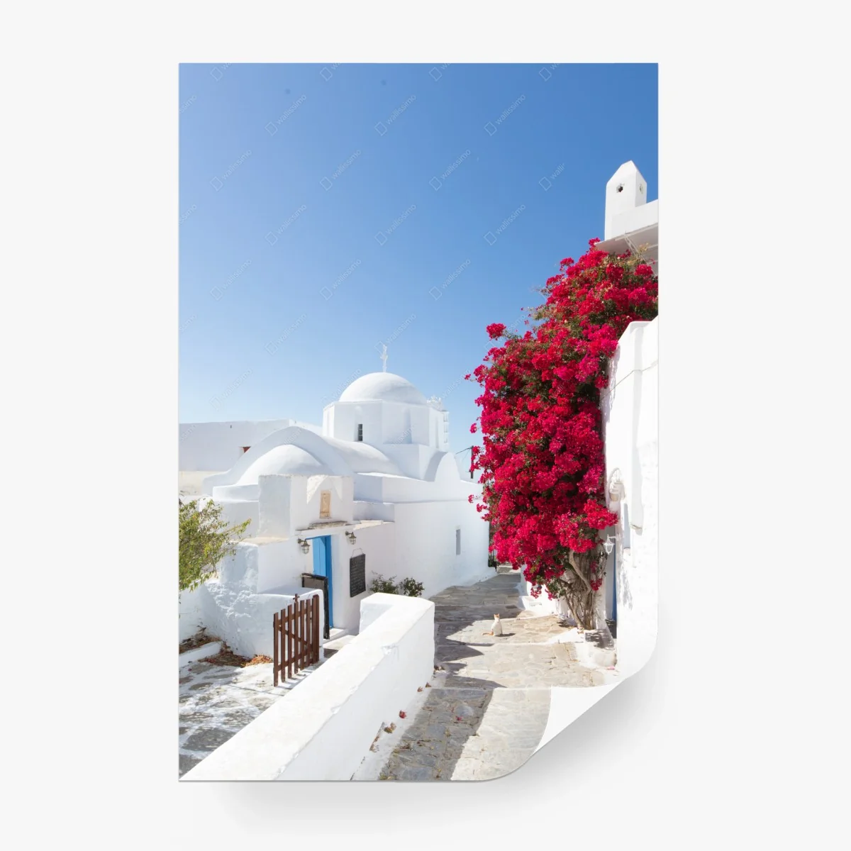 Papier peint ruelle méditerranéenne aux maisons blanches et bougainvillier – Wallnifity® Papier peint ruelle méditerranéenne aux maisons blanches et bougainvillier – Wallnifity®