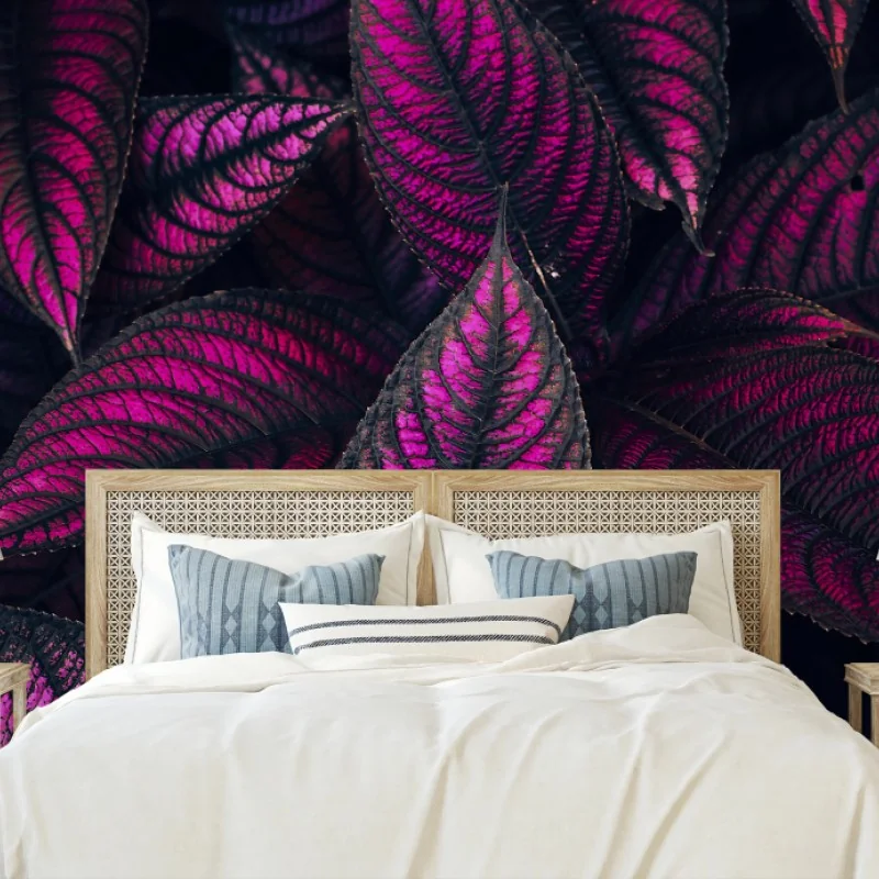 Fleurs et plantes – Wallnifity®