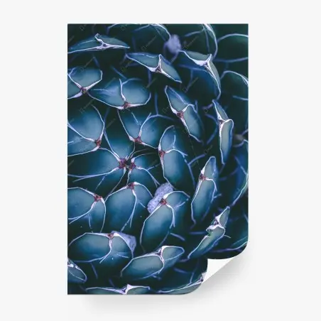 Papier peint motif géométrique de succulente en teintes bleu-vert – Wallnifity®