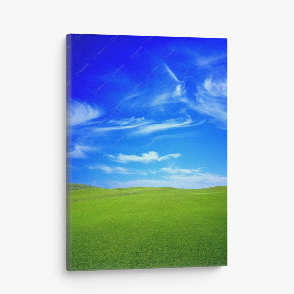 Tableau sur toile horizon verdoyant sous ciel azur – Wallnifity® Tableau sur toile horizon verdoyant sous ciel azur – Wallnifity®