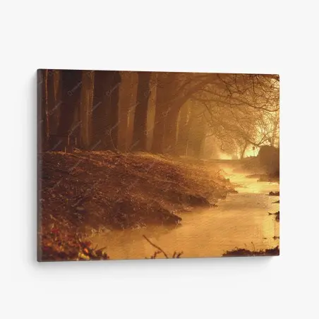 Tableau sur toile brume dorée au bord du ruisseau – Wallnifity®