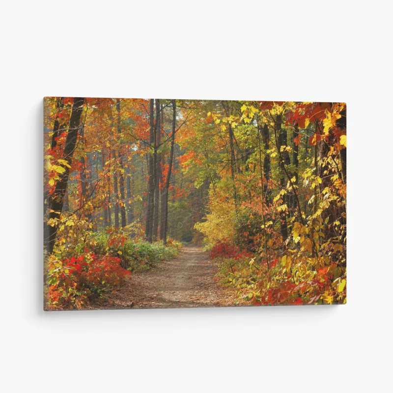 Tableaux sur toile – Wallnifity®