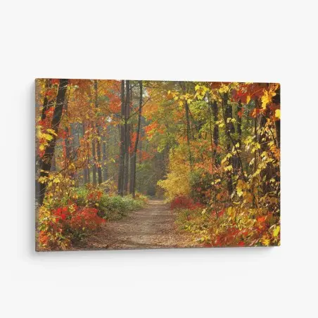 Tableau sur toile chemin automnal en forêt colorée – Wallnifity®