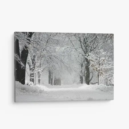 Tableau sur toile allée hivernale enneigée et paisible – Wallnifity®