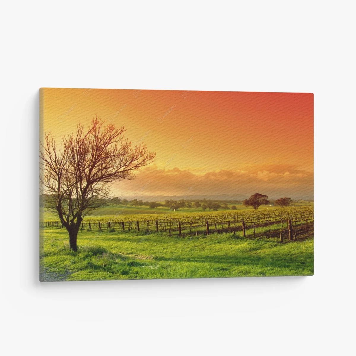 Tableau sur toile vignoble au lever du soleil – Wallnifity® Tableau sur toile vignoble au lever du soleil – Wallnifity®
