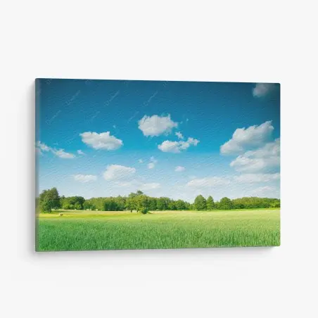 Tableau sur toile horizon verdoyant sous ciel azur – Wallnifity®