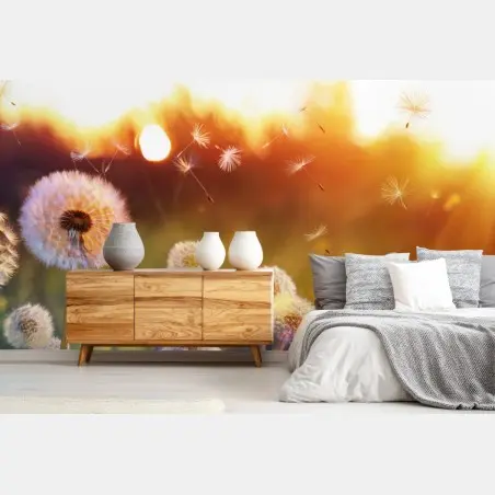 Papier peint champ de pissenlits au coucher du soleil – Wallnifity®
