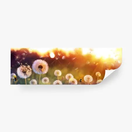 Papier peint champ de pissenlits au coucher du soleil – Wallnifity®