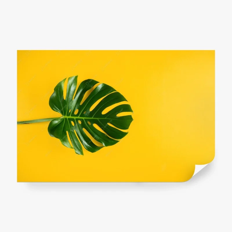 Papier peint motif tropical feuille monstera sur fond jaune – Wallnifity®